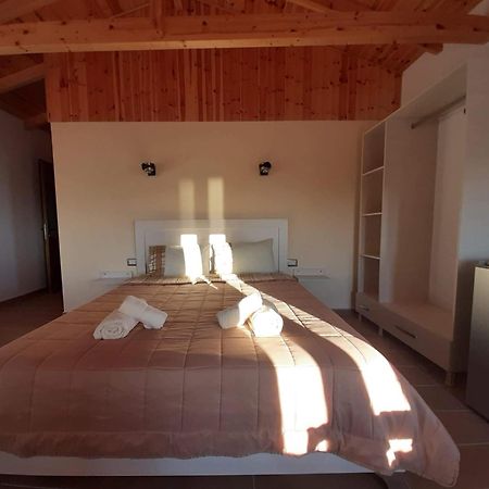 Guest House Luiza Борш Номер фото