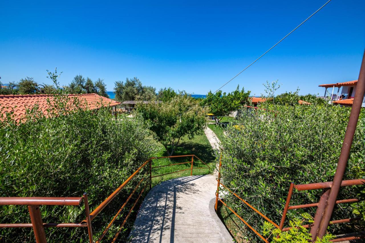 Guest House Luiza Борш Экстерьер фото