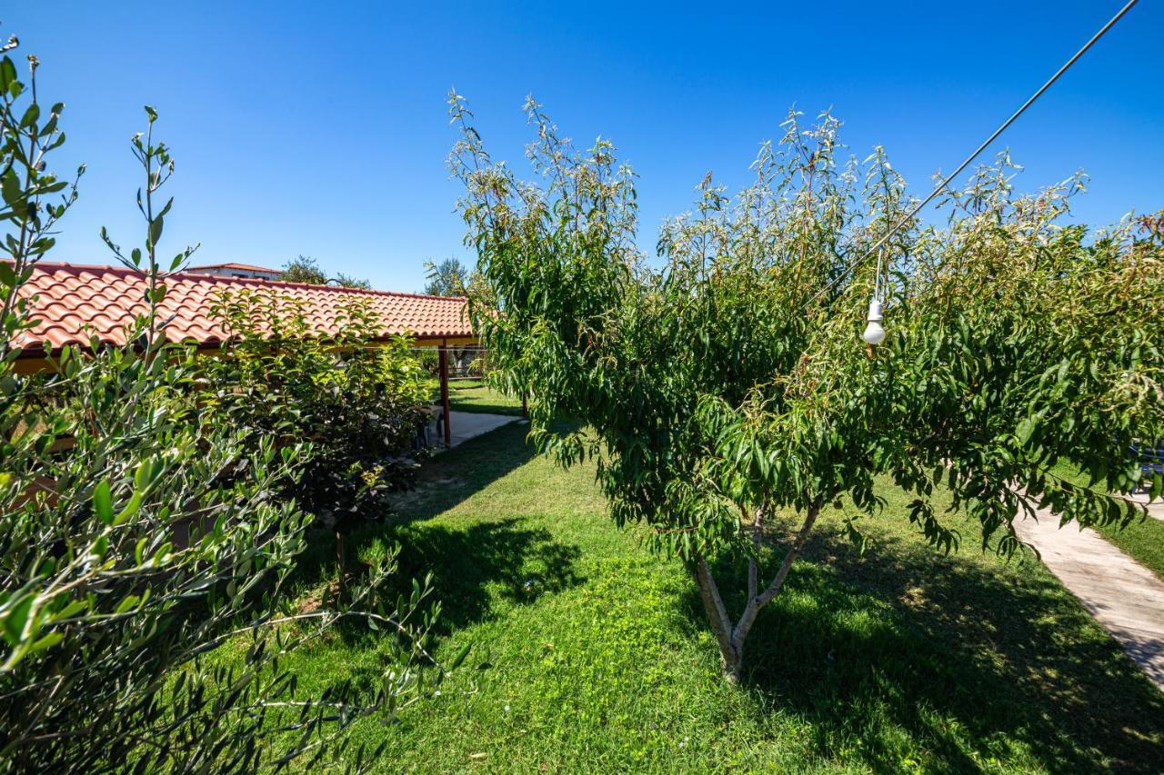 Guest House Luiza Борш Экстерьер фото