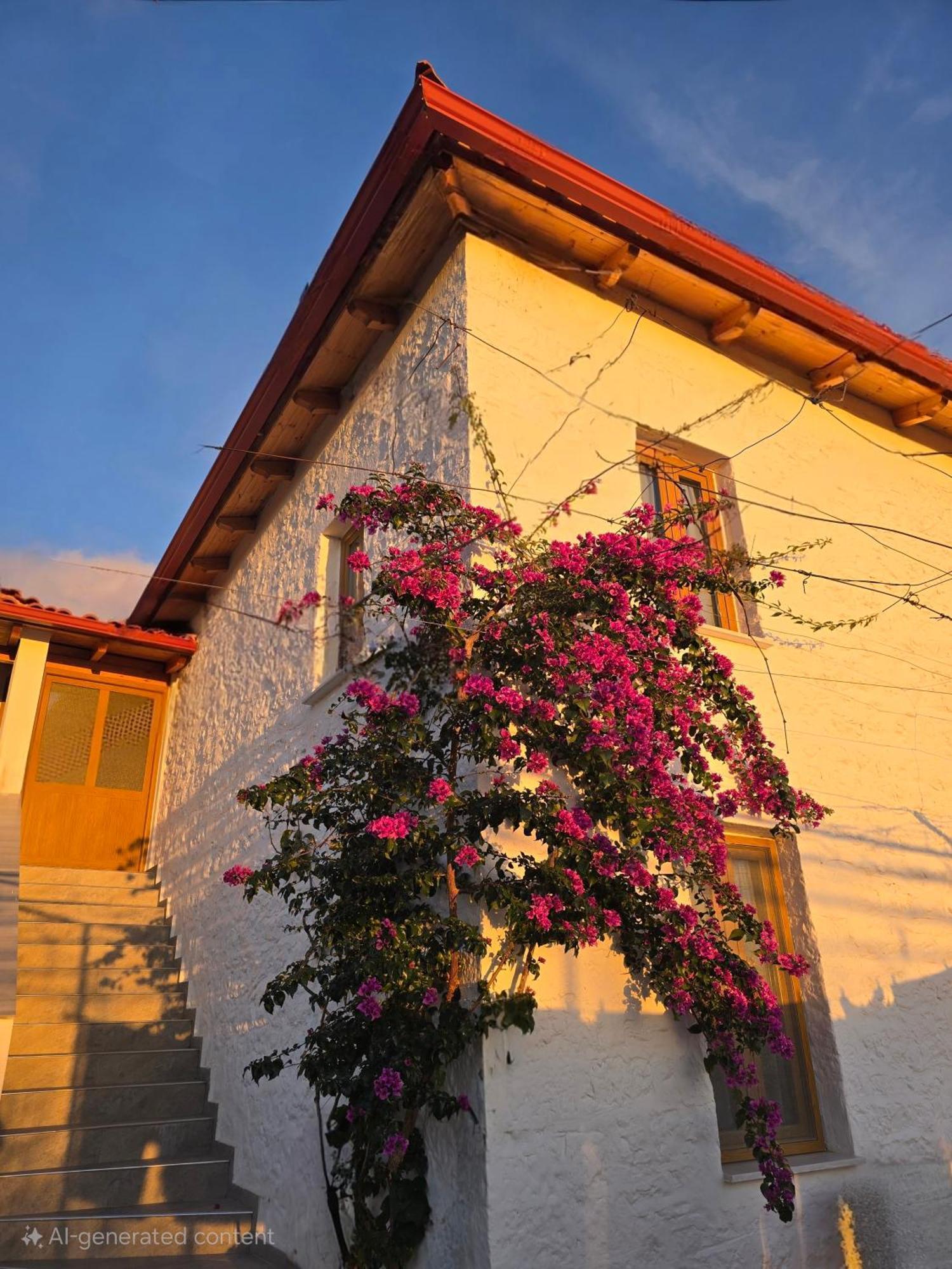 Guest House Luiza Борш Экстерьер фото