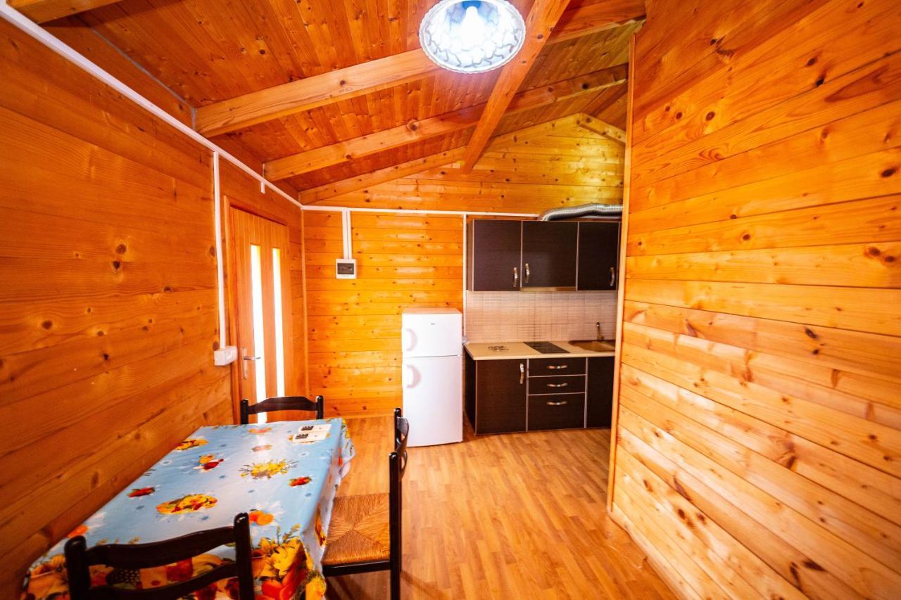 Guest House Luiza Борш Экстерьер фото