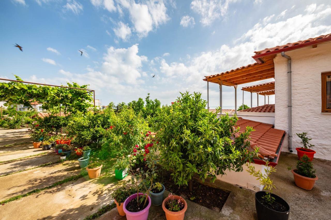 Guest House Luiza Борш Экстерьер фото