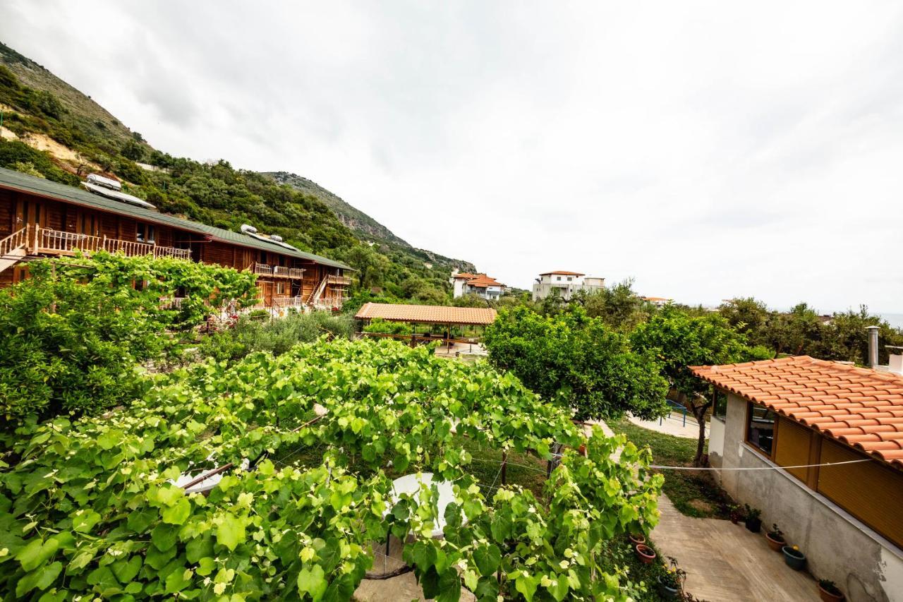 Guest House Luiza Борш Экстерьер фото